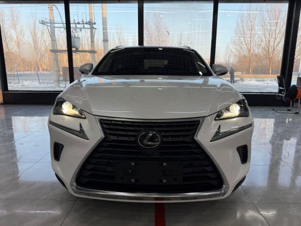 lexus-nx-20-l-2021-g-big-0