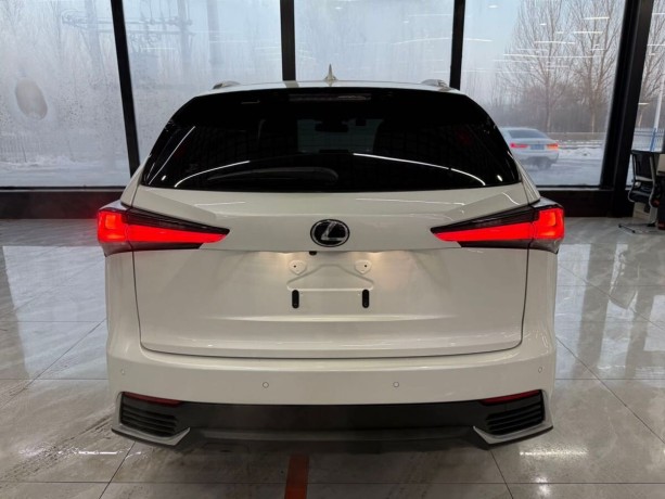 lexus-nx-20-l-2021-g-big-1