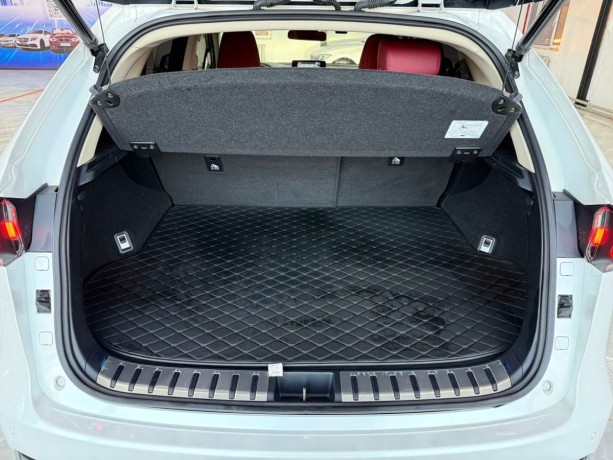 lexus-nx-20-l-2021-g-big-8