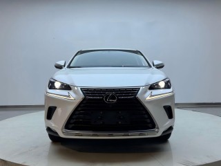 Lexus, NX, 2.0 л., 2021 г.