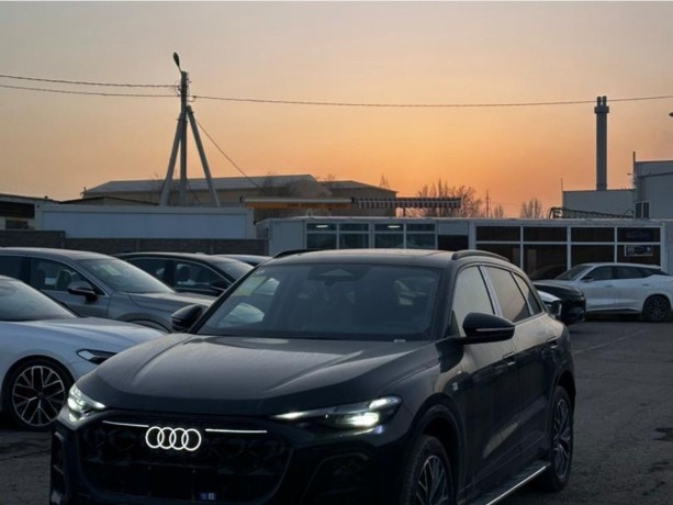 audi-q5-20-l-2025-g-big-0